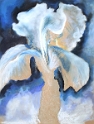 046 Iris Blanc